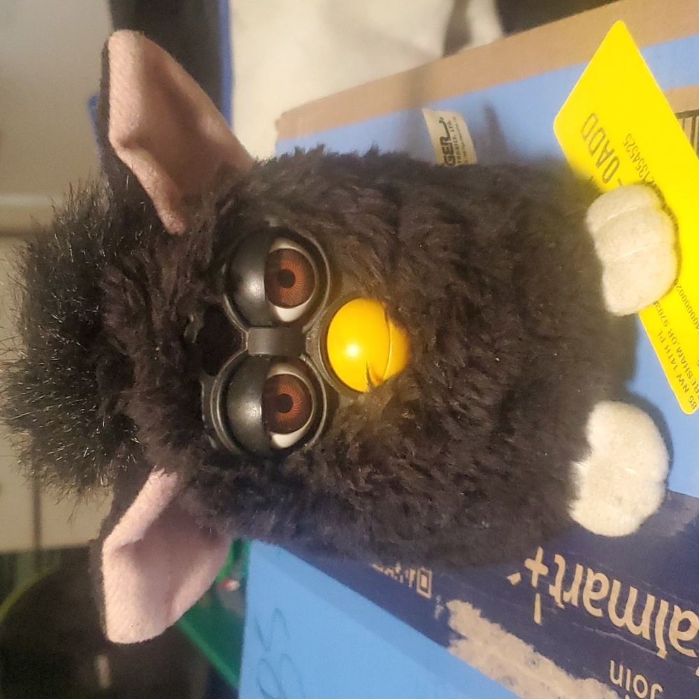 Black furby